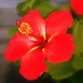 Debbie Flowers Photo 18