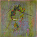 Deborah Somerville Photo 9