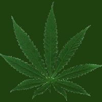 Mary Plant Photo 29