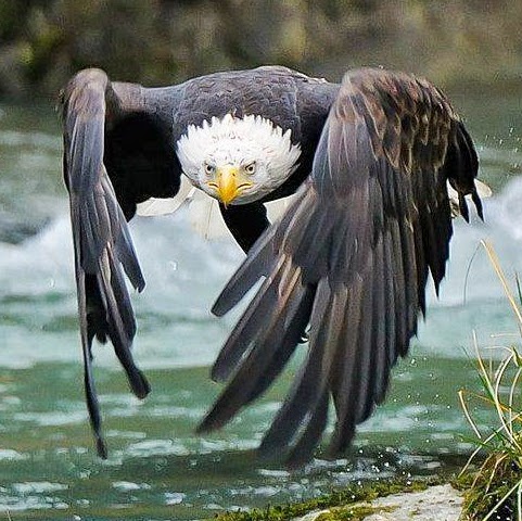 Andrew Winters Photo 11