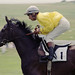 Willie Carson Photo 34