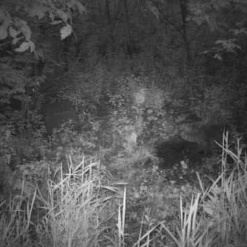Mark Kirkpatrick Photo 13