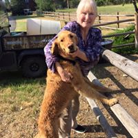 Sherri Lowe Photo 26