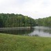 Virginia Beaver Photo 24