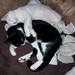 Angel Foster Photo 15