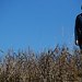 Christine Pawley Photo 6