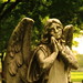 Angel Hamilton Photo 42