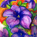 Deborah Wilder Photo 28