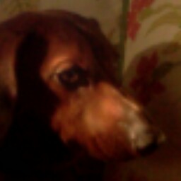 James Luecke Photo 5