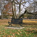 Nancy Quade Photo 15