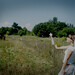 Sandra Meadows Photo 33
