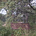 Helen Allison Photo 14