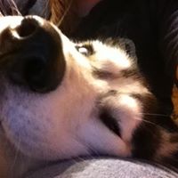 Katelyn Cole Photo 7