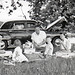 Joan Wilcox Photo 29