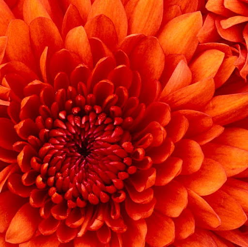 Kayla Reese Photo 16