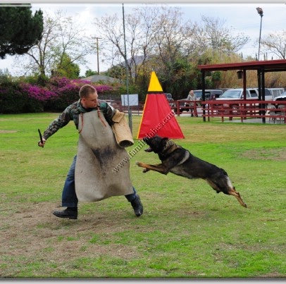 James Toth Photo 14