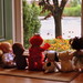 Aimee Wells Photo 15