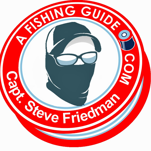 Steve Friedman Photo 17