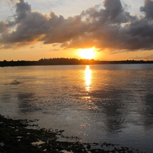 Eddie Burns Photo 18