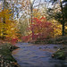 Jason Wadsworth Photo 8