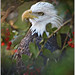 Randy Forrester Photo 26