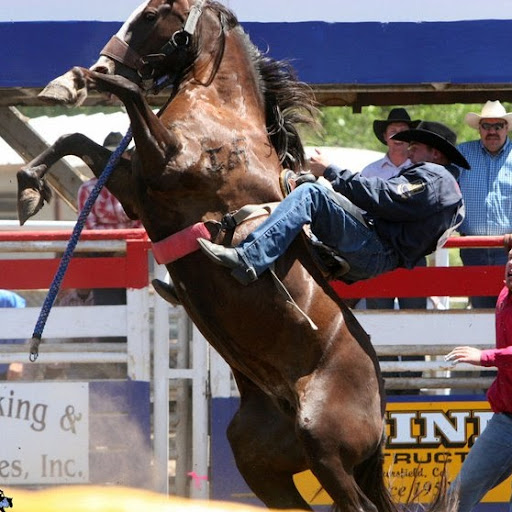 Daryl Morris Photo 28