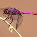 Mark Gilbert Photo 31