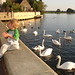 James Ives Photo 16