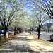 Bradford Franklin Photo 12