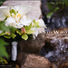 Michael Whitcomb Photo 40