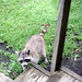 Mary Brownell Photo 10