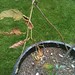 Sandy Platt Photo 22
