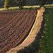Debbie Hedges Photo 15