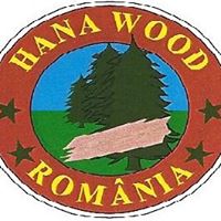 Hana Wood Photo 3