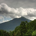 James Ridge Photo 21