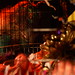 Cassandra Cage Photo 11