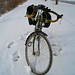 Susan Steed Photo 13