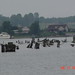 Teresa Mullett Photo 12