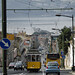 Peter Botelho Photo 5