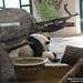 Yang Fu Photo 14
