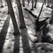 Robin Powell Photo 15