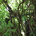 Debbie Newton Photo 39