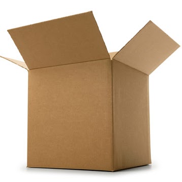 Steve Box Photo 11