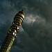 Eric Tower Photo 23