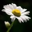 Sally Jones Photo 42