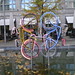 Robert Rode Photo 14
