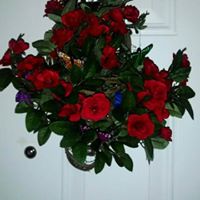 Suzanne Carr Photo 25