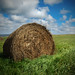 Jonathan Hay Photo 46