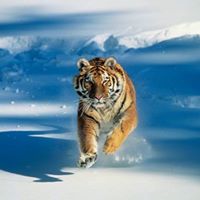 Deborah Haire Photo 14