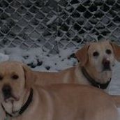 Janet Mccune Photo 6